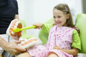 Little girl brushes teeth model